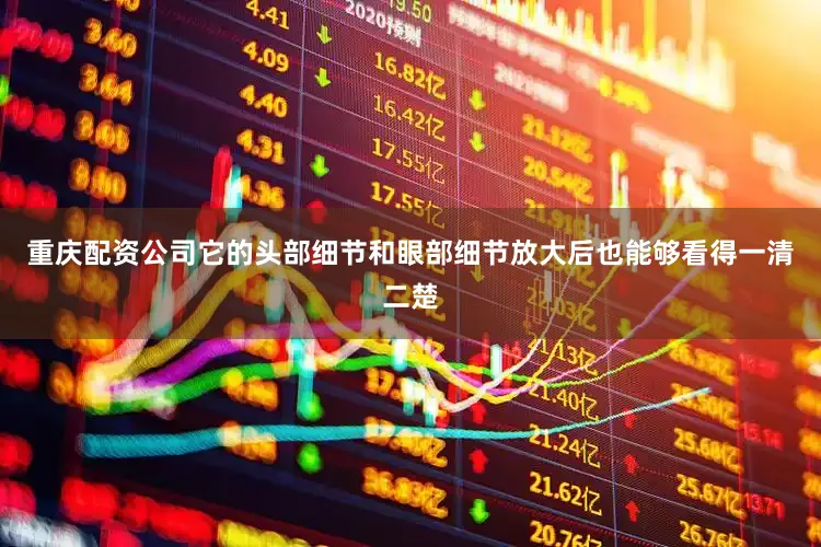 重庆配资公司它的头部细节和眼部细节放大后也能够看得一清二楚