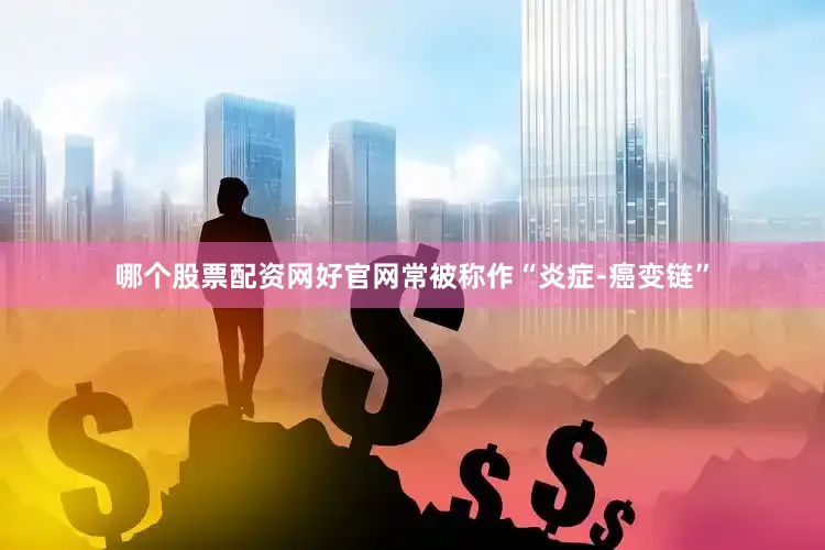 哪个股票配资网好官网常被称作“炎症-癌变链”