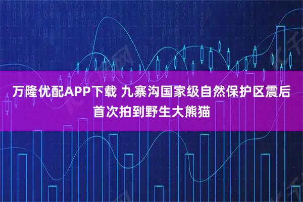 万隆优配APP下载 九寨沟国家级自然保护区震后首次拍到野生大熊猫