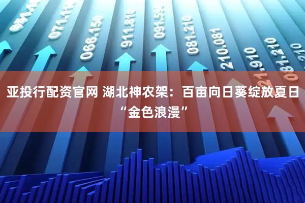 亚投行配资官网 湖北神农架：百亩向日葵绽放夏日“金色浪漫”